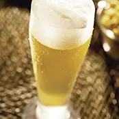 Copo para Cerveja Tulipa Nadir 300ml