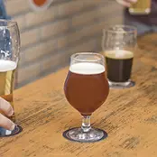 Taça para Cerveja Dublin Nadir 400ml